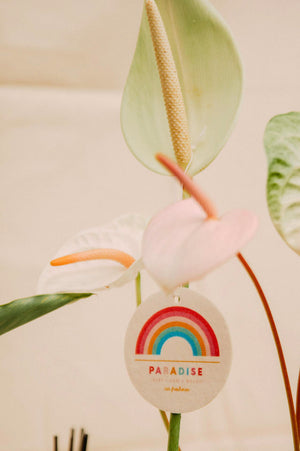 JULES + GEM HAWAI'I X DOLKII - CAR FRESHENER