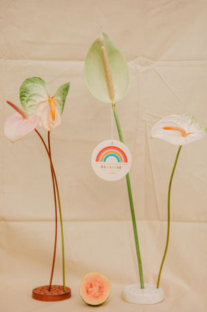 JULES + GEM HAWAI'I X DOLKII - CAR FRESHENER