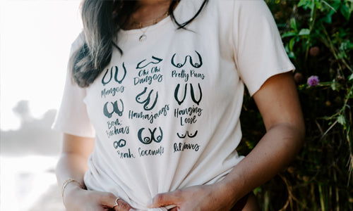 Breastfeeding Hawai'i | Grant Recipient of Women's Fund of Hawai'i