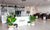 plant baby styling : the cosmo studio