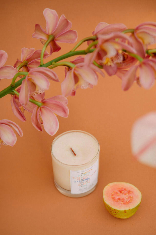 JULES + GEM HAWAI&#39;I X DOLKII - 7 OZ PARADISE CANDLE