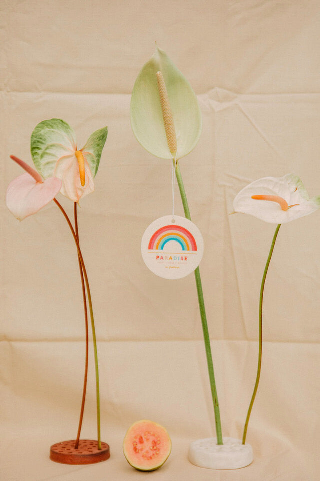 JULES + GEM HAWAI'I X DOLKII - CAR FRESHENER